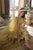 3 Piece Unstitched Heavy Embroidered Lawn Suit with Full Embroidered Organza Dupatta SB-62